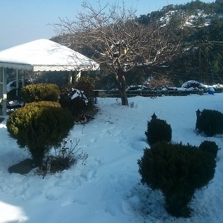 The Swiss Village Resort Nainital Exterior foto