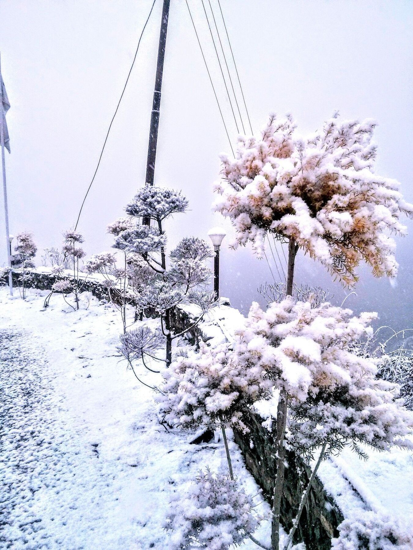 The Swiss Village Resort Nainital Exterior foto